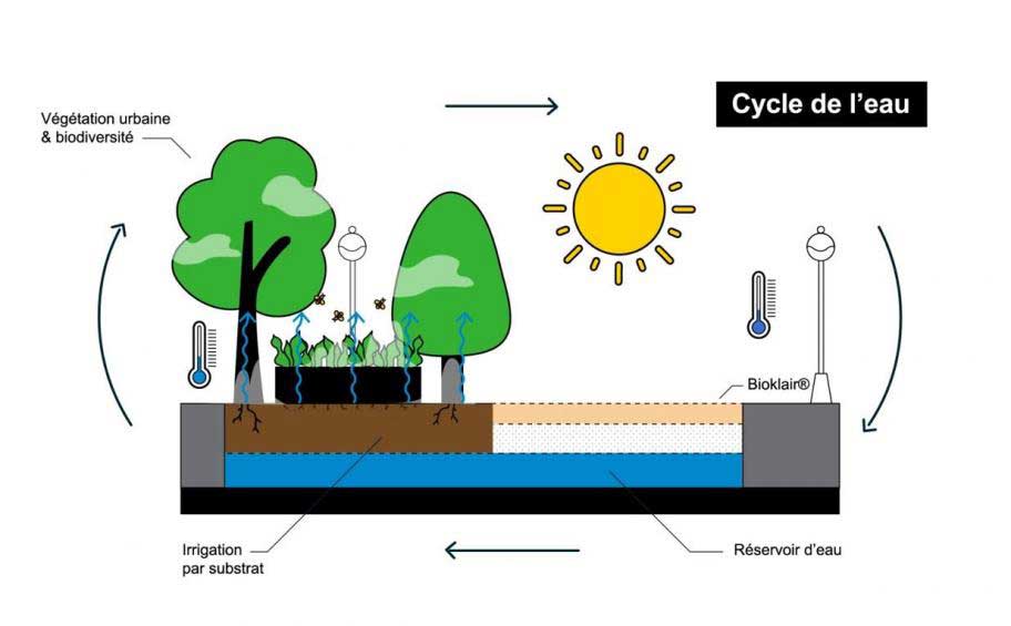 ÉcOasis® : notre solution innovante qui permet de lutter contre les îlots de chaleur urbains